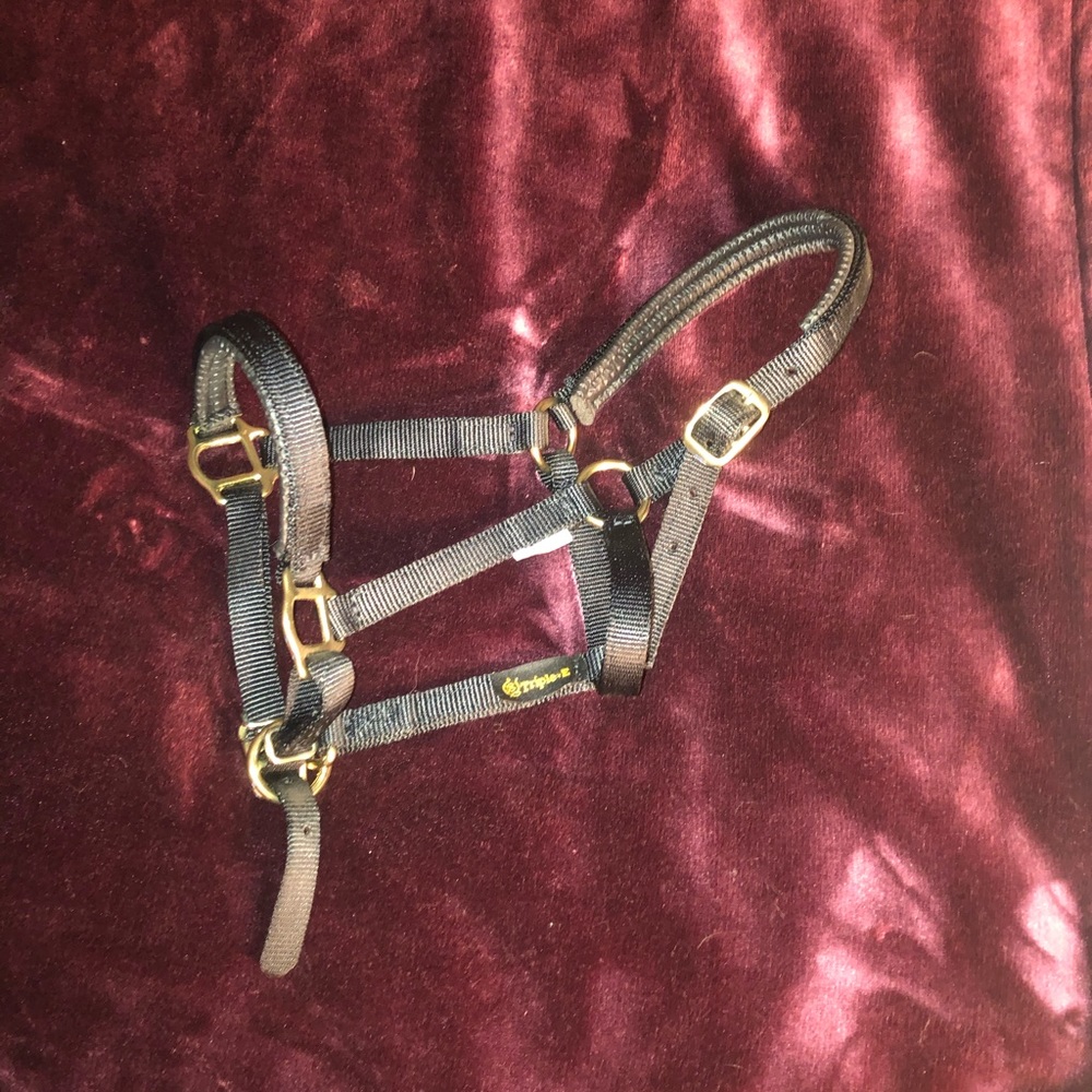 Mini halter